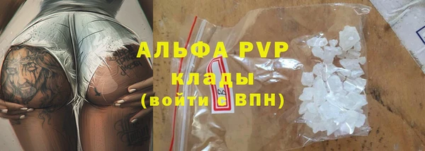 ПСИЛОЦИБИНОВЫЕ ГРИБЫ Белоозёрский