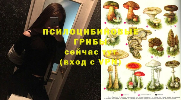 mix Белокуриха