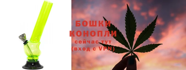 ПСИЛОЦИБИНОВЫЕ ГРИБЫ Белоозёрский