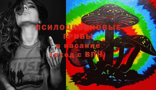 mix Белокуриха