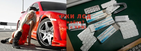 ПСИЛОЦИБИНОВЫЕ ГРИБЫ Белоозёрский